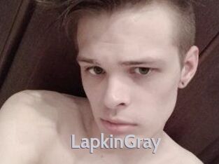 LapkinGray
