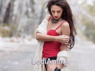LediAmina