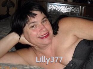 Lilly377