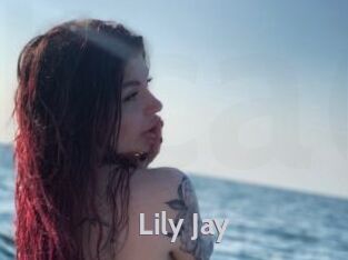 Lily_Jay