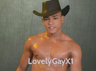 LovelyGayX1