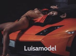 Luisamodel