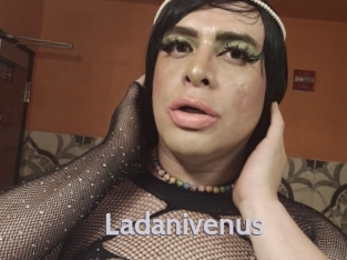 Ladanivenus
