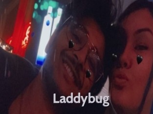 Laddybug