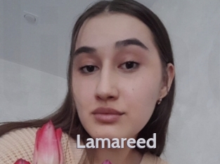 Lamareed