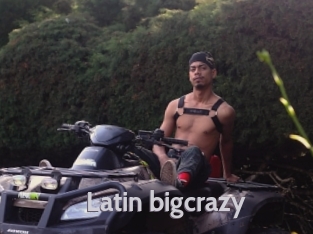 Latin_bigcrazy