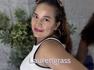 Laurengrass