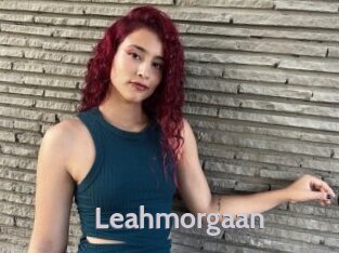 Leahmorgaan