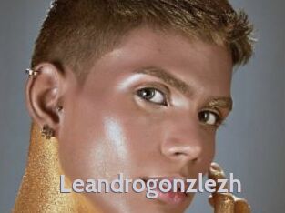 Leandrogonzlezh