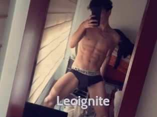 Leoignite