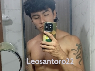 leosantoro22 Live Cam 66