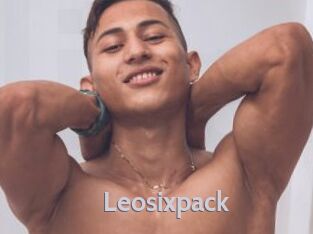 Leosixpack