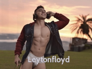 leytonfloyd Live Cam 66