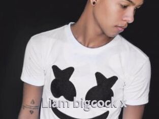 Liam_bigcock_x