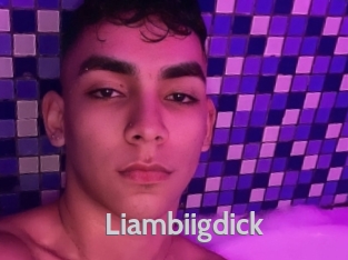 liambiigdick Live Cam 66