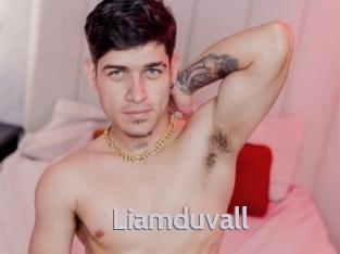 liamduvall Live Cam 66