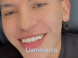 liammarco Live Cam 66