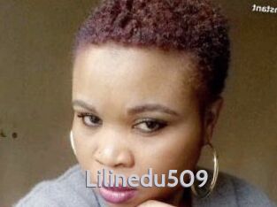 Lilinedu509