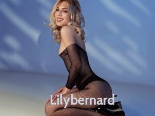 Lilybernard