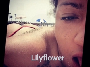 Lilyflower