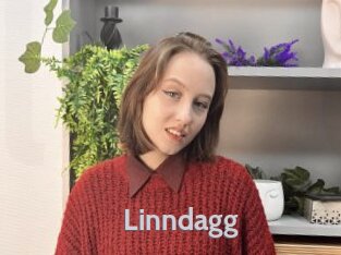 Linndagg
