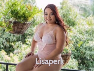 Lisaperk