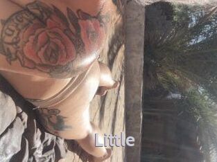 little Live Cam 66
