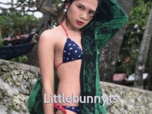 littlebunnyts Live Cam 66