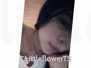 LittleflowerTS