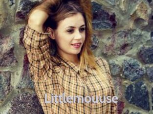 Littlemouuse
