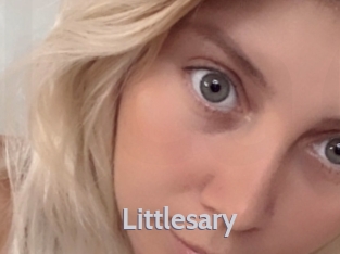 littlesary Live Cam 66