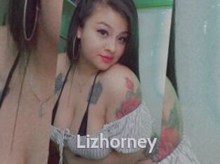 Lizhorney