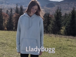 Lladybugg
