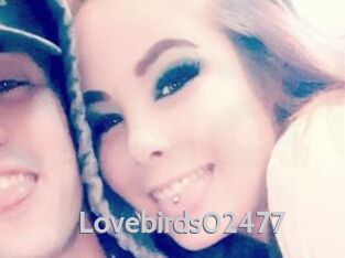 Lovebirds02477