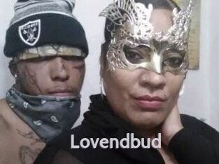 lovendbud Live Cam 66