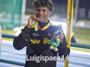 Luigispaez44