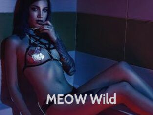 MEOW_Wild