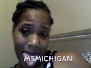 MSMICHIGAN