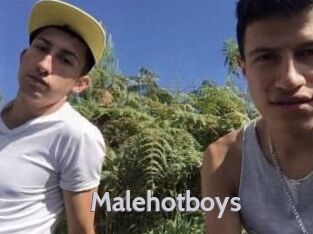Malehotboys