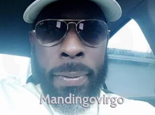 Mandingovirgo