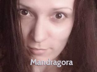 Mandragora Live Cam 66