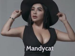Mandycat