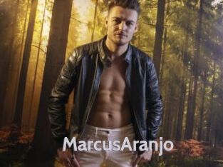MarcusAranjo