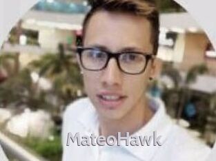 MateoHawk