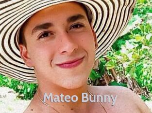 Mateo_Bunny