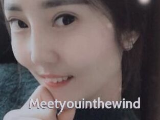 Meetyouinthewind