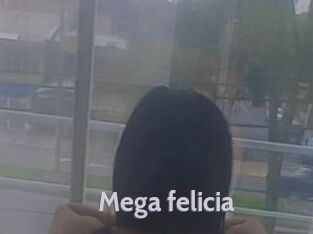 Mega_felicia