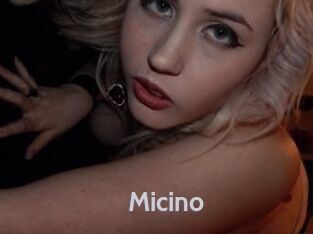 Micino
