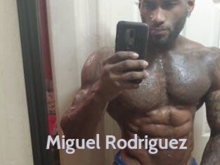 Miguel_Rodriguez