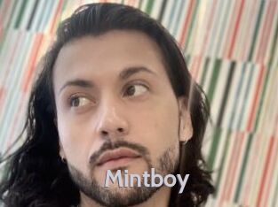 Mintboy